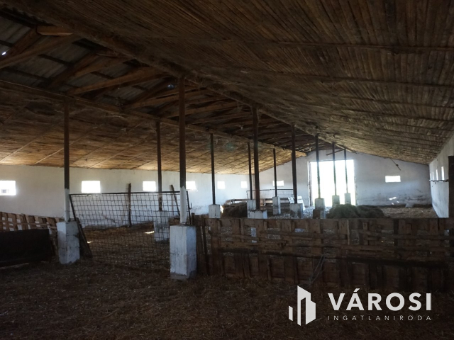 Önellátó családi gazdaság Nagykőrösön