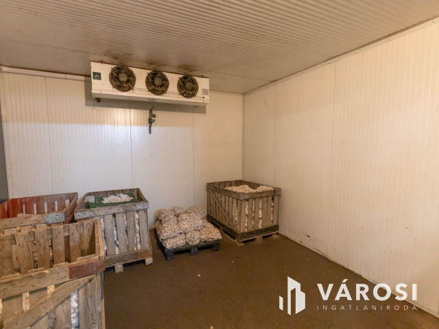 Makói, mezőgazdasági tanya/telephely eladó!