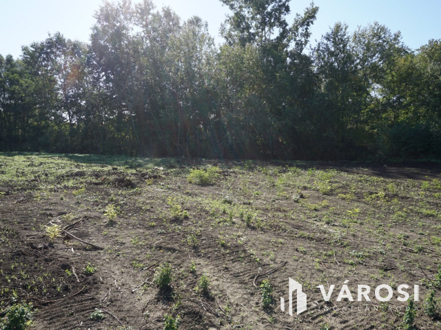 5176 m2 telek több lehetőséggel Gyulán!
