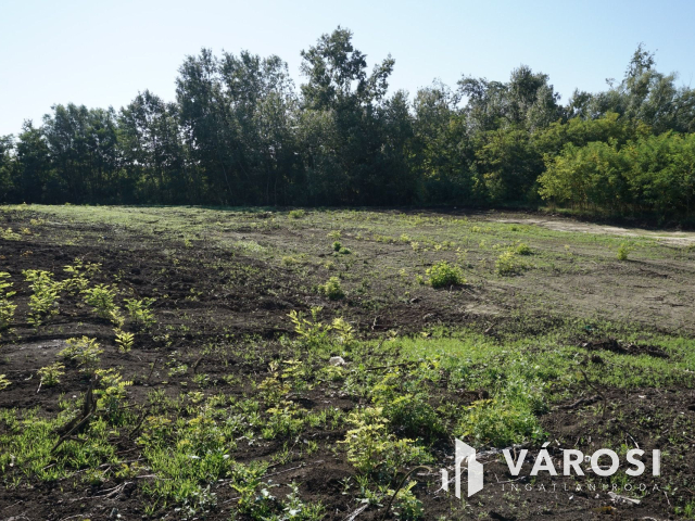 5176 m2 telek több lehetőséggel Gyulán!