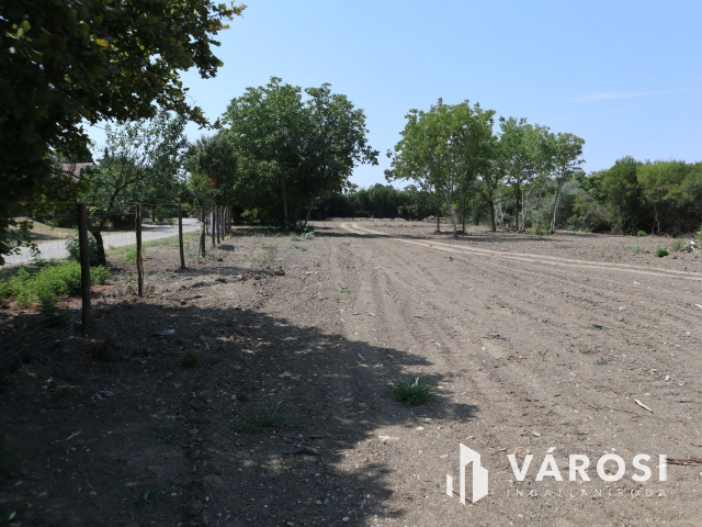 Szőreg kiváló részén, belterületi építési telek! 4