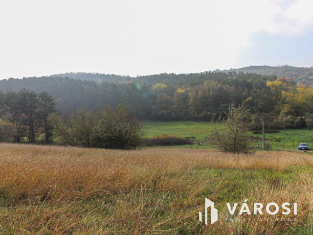 Elvonulni vágyók figyelmébe, panoráma, erdő a szomszéd