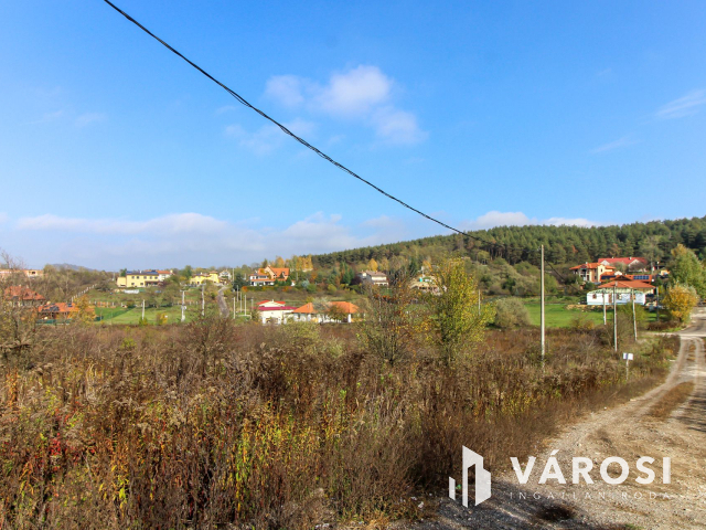 Elvonulni vágyók figyelmébe, panoráma, erdő a szomszéd