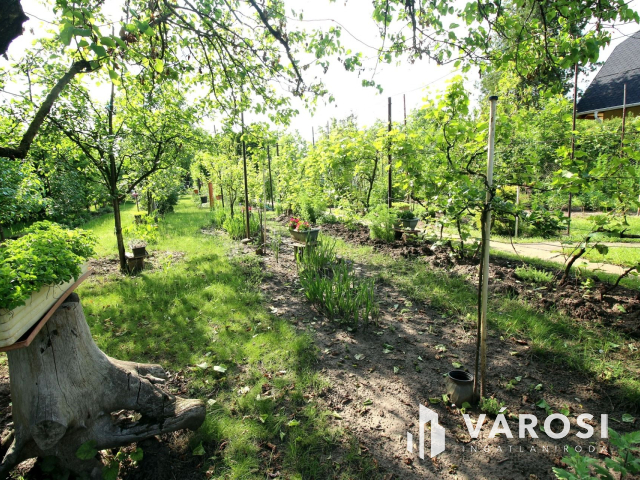 Édenkert Szeged népszerű üdülő övezetében