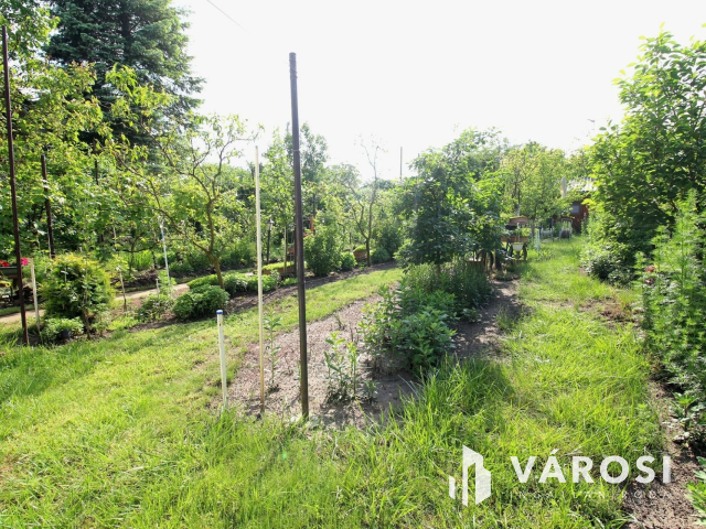 Édenkert Szeged népszerű üdülő övezetében