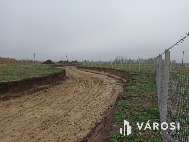 Telephelyet keres üzleti vállalkozásához?