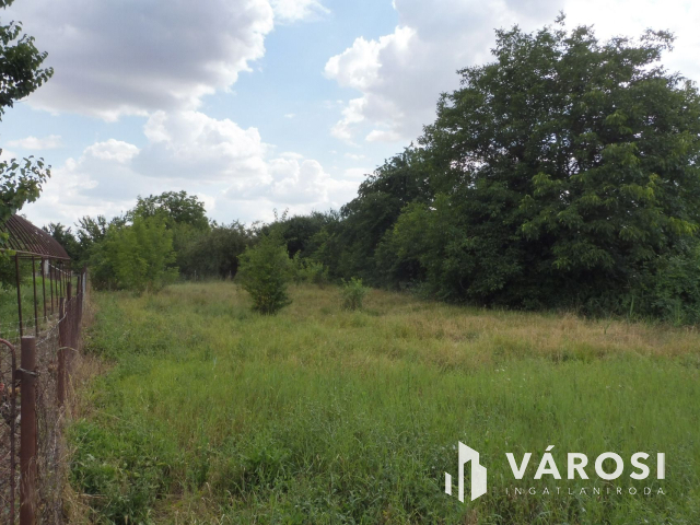 Remek árban,Liliom utcai zártkert,Deszken!