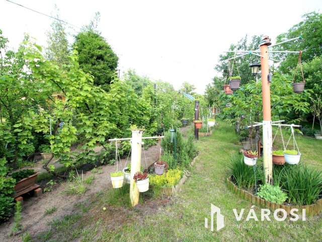 Édenkert Szeged, Sziksóstón