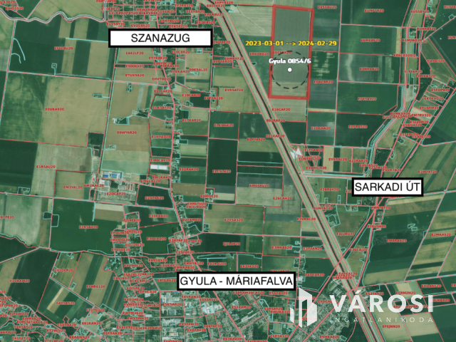 Termőföld 9 évig érvényes haszonbérlettel