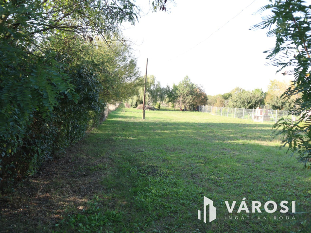 Ha kell a nagy terület!