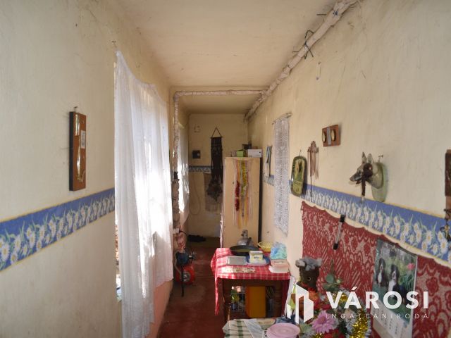 Minden egy helyen, egy igazi tanyán!