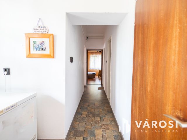 Tágas családi ház+egy leválasztható nyeles telek