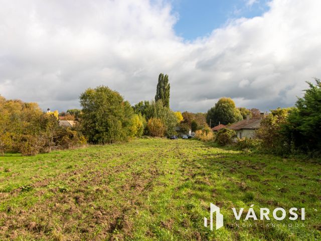 Akár 5 telek kialakítására alkalmas belterületi telek