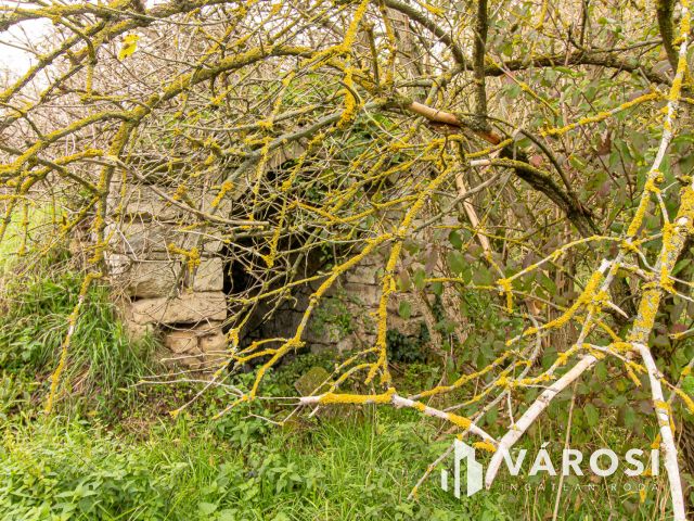 Akár 5 telek kialakítására alkalmas belterületi telek