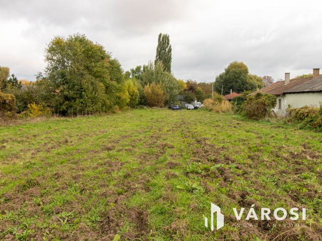 Akár 5 telek kialakítására alkalmas belterületi telek