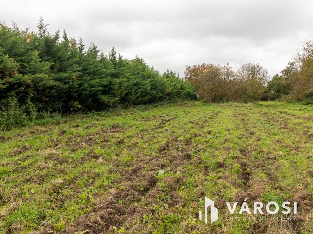 Akár 5 telek kialakítására alkalmas belterületi telek