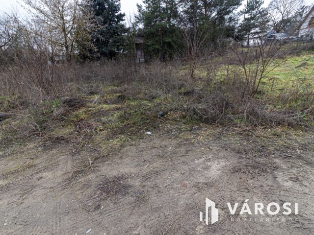 Építési telek Pócsmegyer-Surány részen!