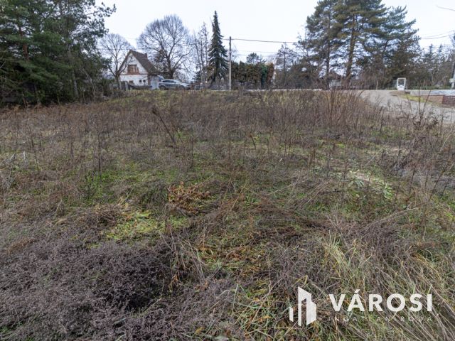 Építési telek Pócsmegyer-Surány részen!