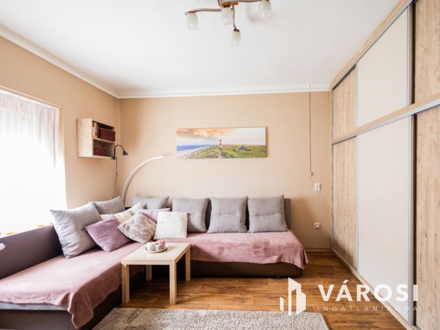 Praktikus elrendezésű ház parkosított kerttel a belvárosban