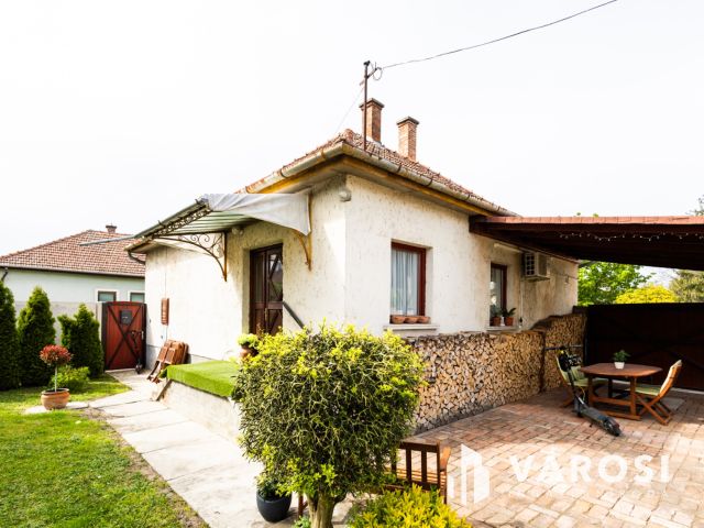 Praktikus elrendezésű ház parkosított kerttel a belvárosban