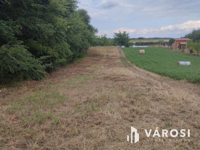 Nyugalom a természet szívében