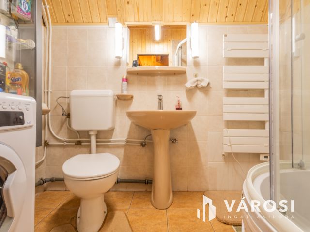 Kisház az erdő mellett