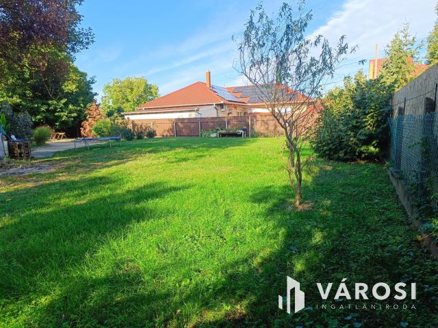 Nagyvenyimen vállalkozásra is alkalmas családi ház