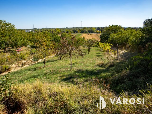 Nyaraló telkek Mohács-Szőlőhegyen