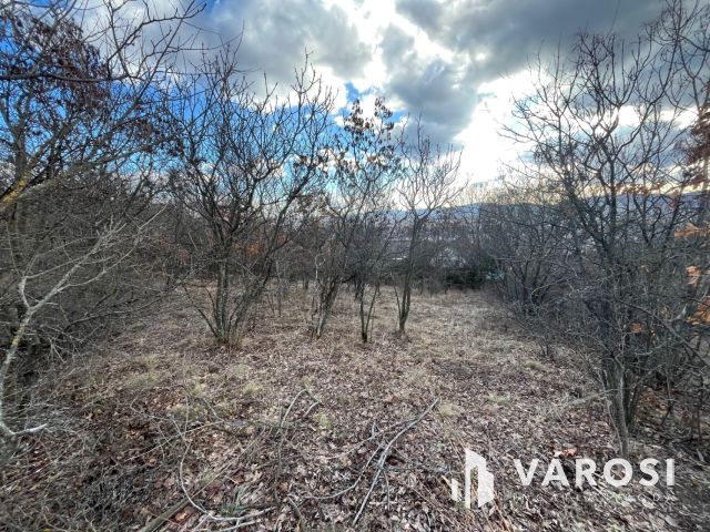 Szentendrei panoráma!