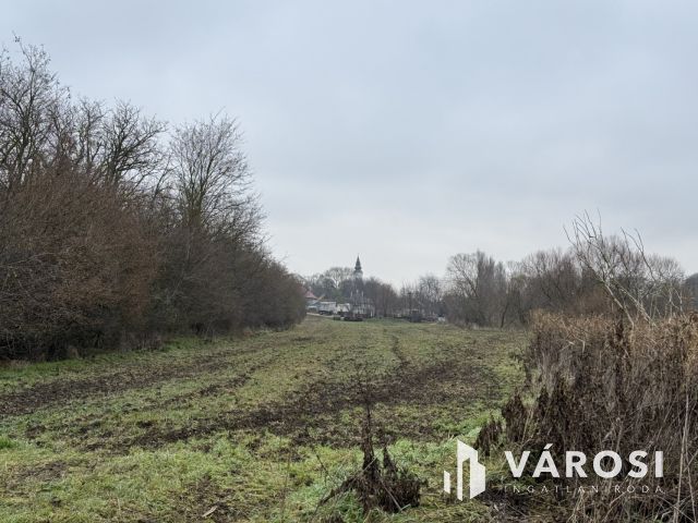 BEFEKTETÉSI LEHETŐSÉG PÁZMÁNDON - 8 TELEK, PANORÁMA