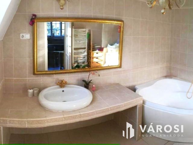 Dunai panorámás villa ősfás parkban Szentendrén